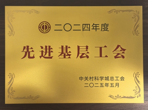 2024年度先進(jìn)基層工會(huì)-2025.5_副本_副本